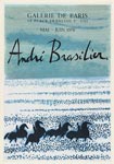 Affiche de Brasilier