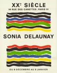 Affiche de Robert Delaunay