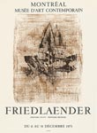 Affiche de Friedlaender